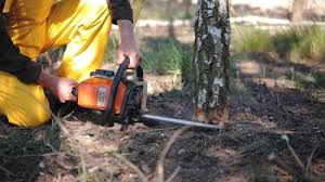 Best Emergency Tree Removal  in Lehi, UT